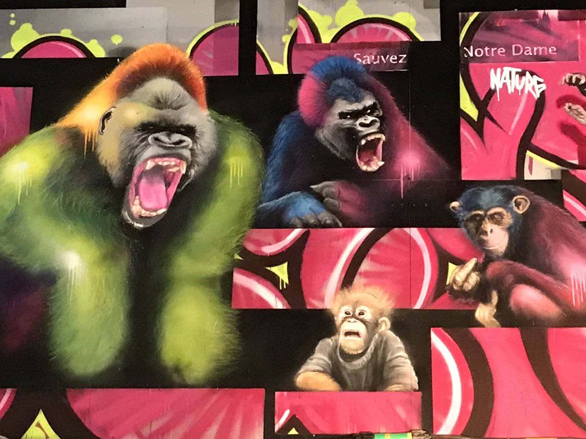 AlferezSteph's tweet photo. Plus que quelques heures pour découvrir #PeintureFraiche festival de #StreetArt à #Lyon https://t.co/MIwJUjn81m