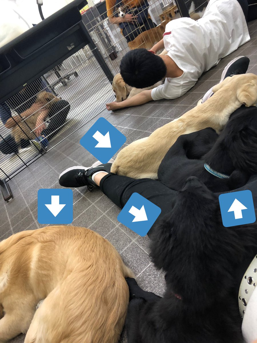 大宮国際動物専門学校