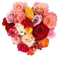 Happy Mother's Day to all the wonderful women today.
#MothersDay #Coffee #MillCoveCoffee #family #books
