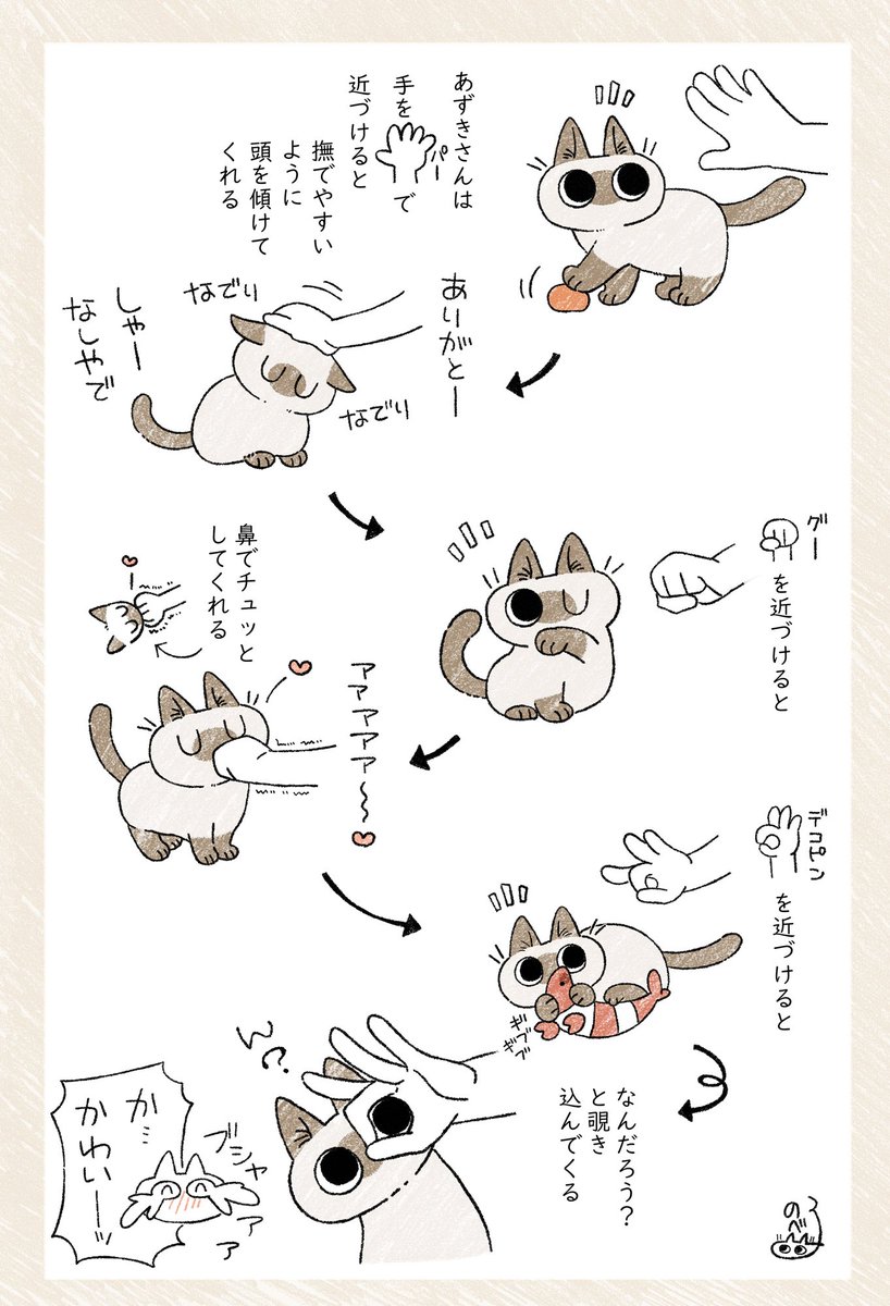 ニンゲンの手が攻撃にも使えるということを一生知らない猫さんの様子が信頼しきっててかわいい うちの子もこう Togetter