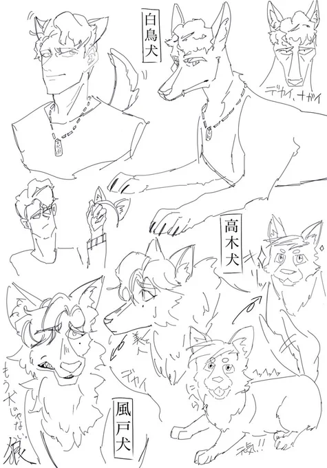 軽率に犬? 