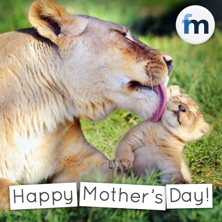 FMRealty's tweet photo. Your weekly lighthearted moment. Happy Mother's Day! https://t.co/vMZCciNmYv