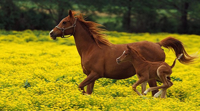 Equaide's tweet image. Happy Mother's Day!!!