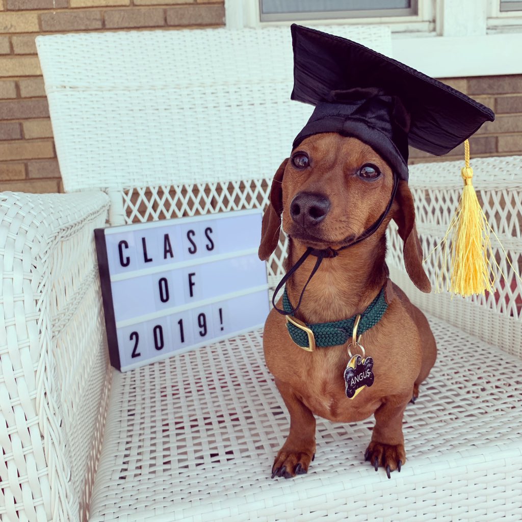 arrsmith's tweet image. Happy Graduation to our favorite flyer! @Ally_Cox2 #flyergrad19