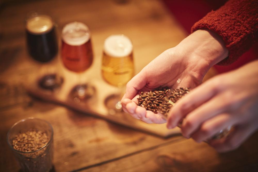 DogTapBerlin tweet media