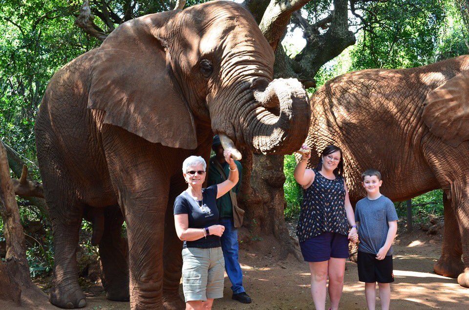 BevMoyle's tweet image. Kate &amp;amp; Ieuan Williams,, with their 1st close encounter with an amazing elephant,, bliss,,