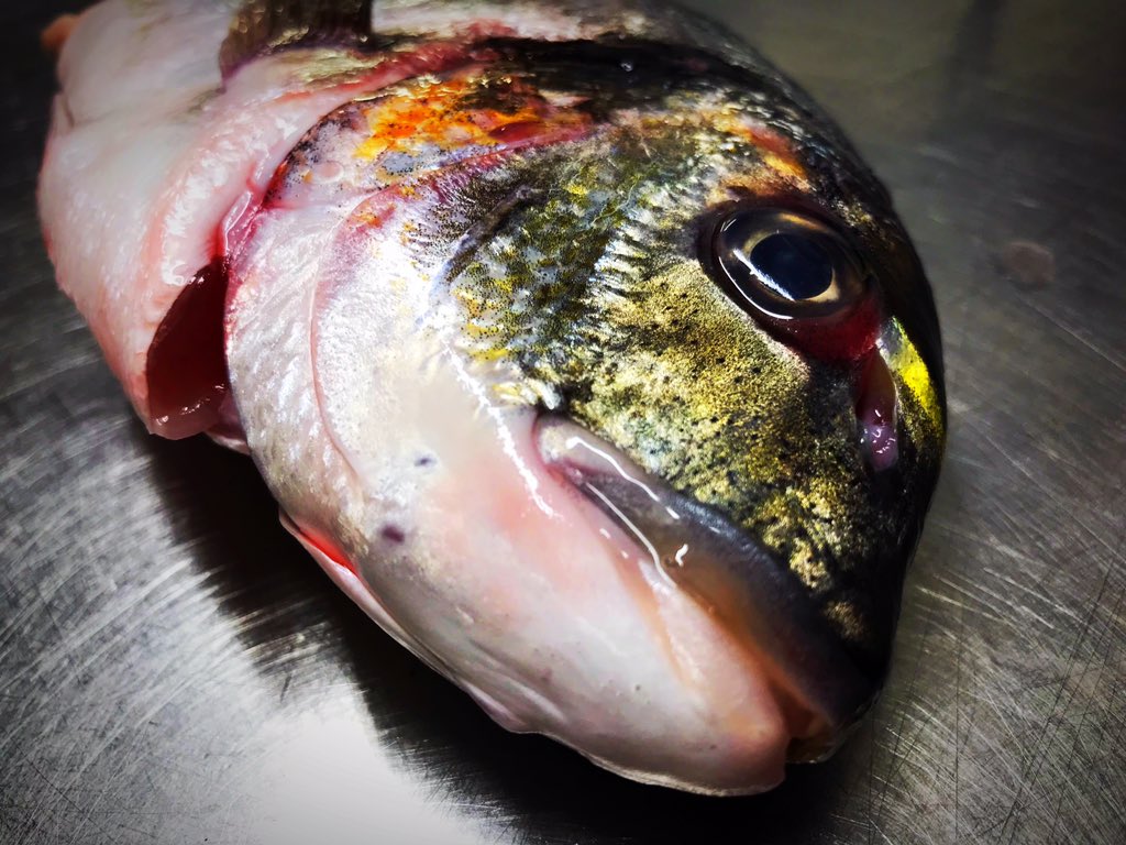 #Beautiful #seabream #selling #fast #today #sunday <a href="/inn_harbour/">The Harbour Inn</a>
