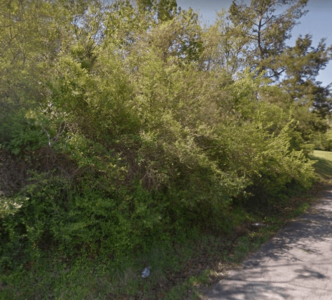 cheaplands1's tweet photo. Buy Land- Land for Buy and Land for Sell/bit.ly/2JAifun #LandForBuy #BuyLand #CheapLands #Deal #JustListed #LandForSale #Arkansas #Morrilton https://t.co/wpehtq5DWQ