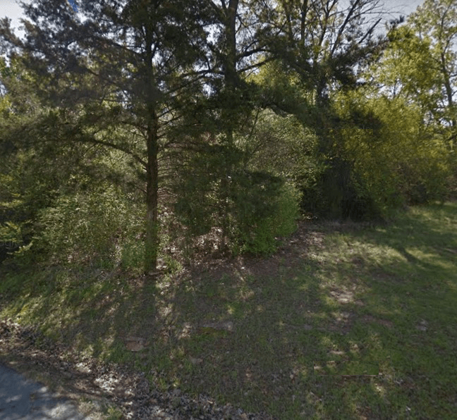 cheaplands1's tweet photo. Buy Land- Land for Buy and Land for Sell/bit.ly/2JAifun #LandForBuy #BuyLand #CheapLands #Deal #JustListed #LandForSale #Arkansas #Morrilton https://t.co/wpehtq5DWQ