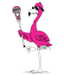 HoCoGirlsLAX's tweet photo. Good luck to our very own HOCO 2024 Black team as they start the NGLL playoffs today. They will be playing Pride 2024 Red at 2:00 at Garrison Forrest in the quarterfinal game. If you are in the area go out and support our girls! LETS GO HOCO! https://t.co/gUCYAhcWhU