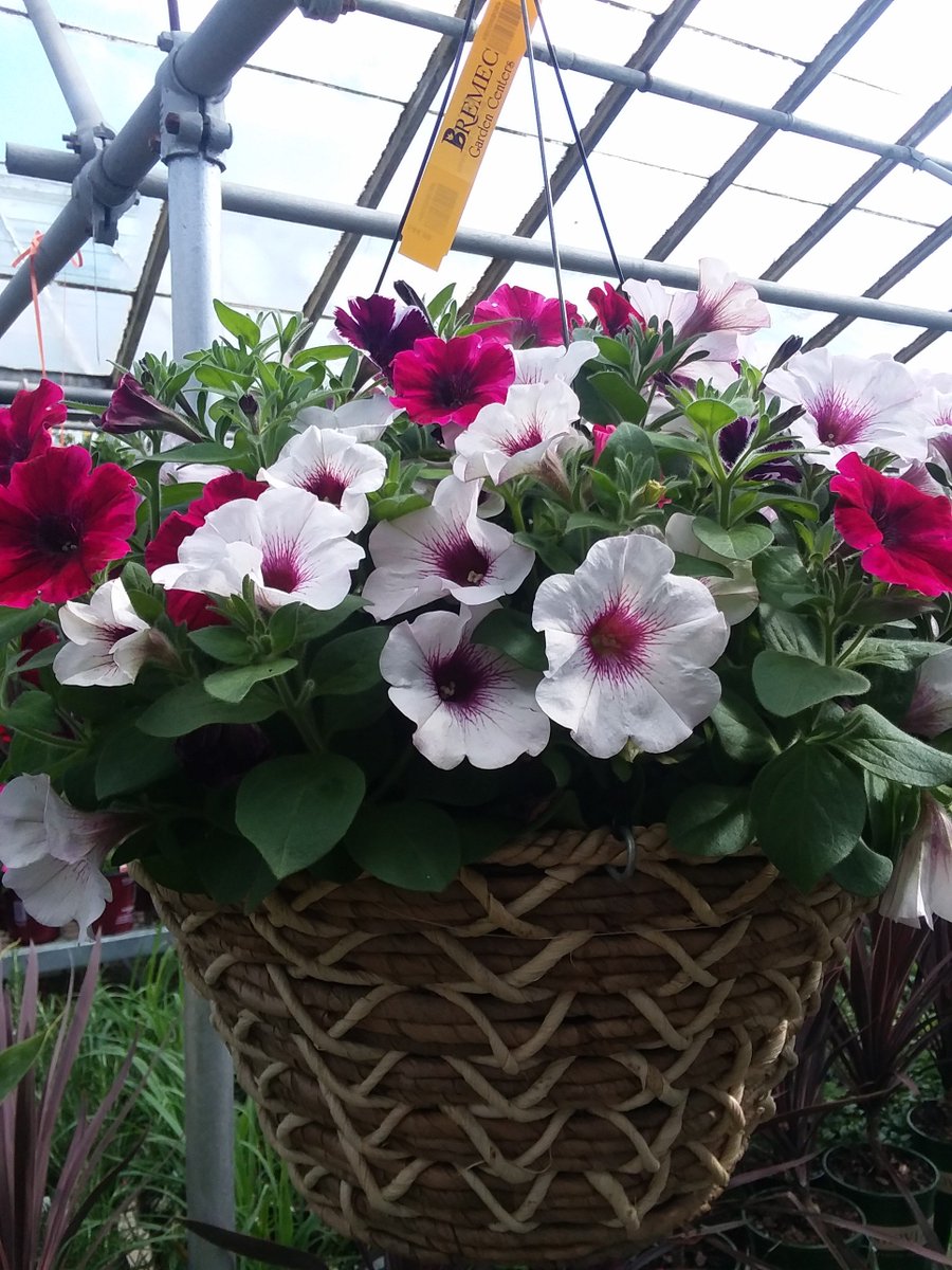 Happy Mother's Day :)