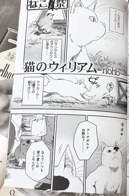 【おしらせ】本日13日発売のねこぱんち 雨ふり猫号にて、読み切りまんが「猫のウィリアム」が掲載されています。どうぞよろしくお願いします！ 