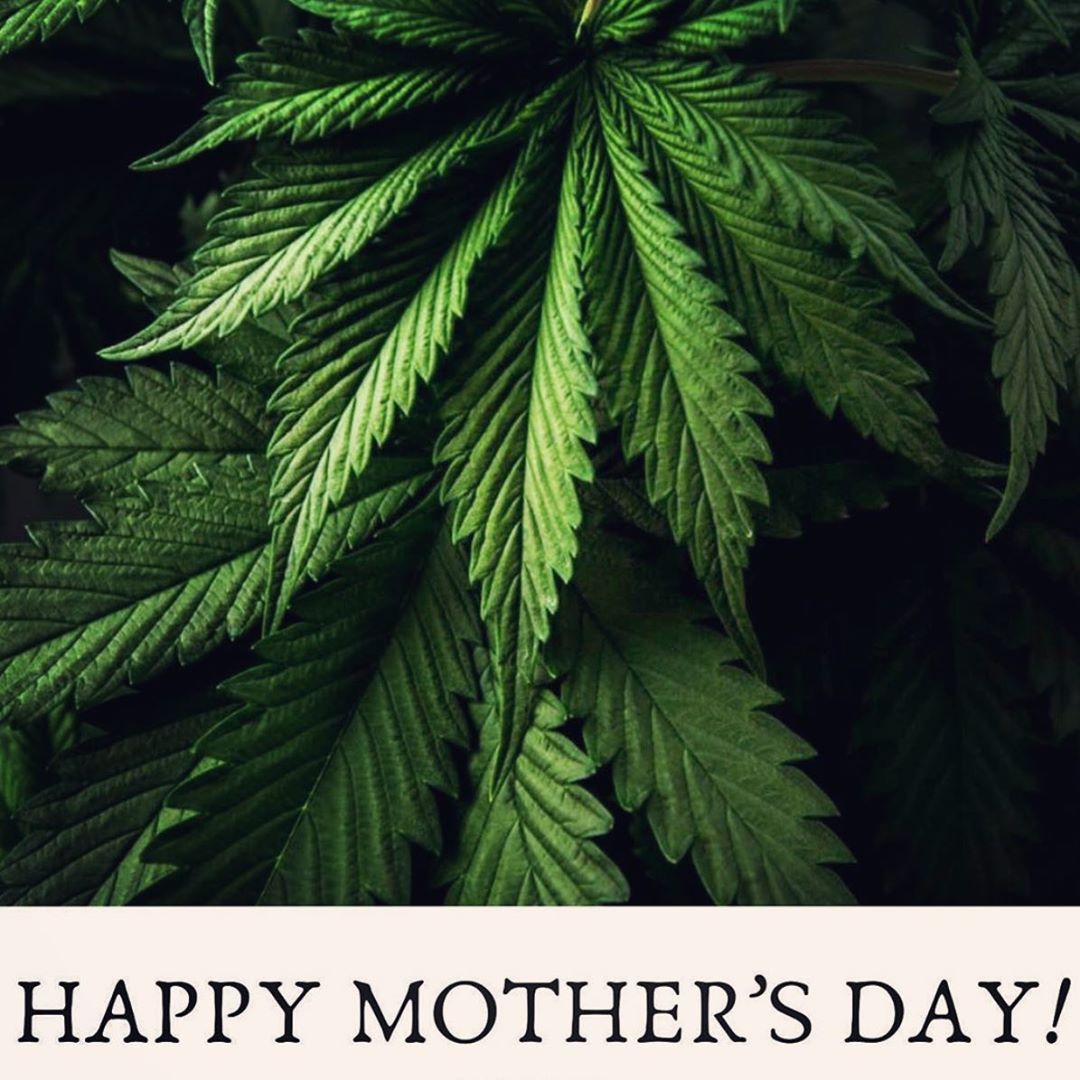 Happy Mother’s Day to all you great moms out there. We couldn’t do it without y’all. ❤️❤️❤️ #autoflower #weedporn #weedsociety #weedstagram #weedstagram420 #medicalmarijuana #marijuanagram #legalizeit