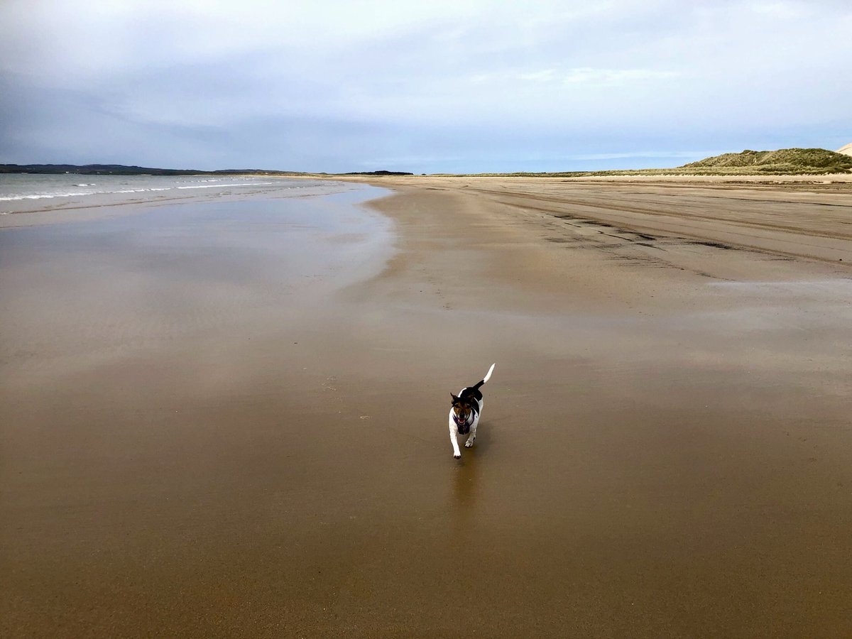 OrsayHouse's tweet photo. #postcardsfromportnahaven 
Off to #islay airport and the Strand today, that road (?) by the airport is a bit rough 😂
 #thisisscotland #thisisislay #argyllandbute #argyllsecretcoast  #islayblog #islayjura #ScotlandIsNow https://t.co/xkWufaOrYl