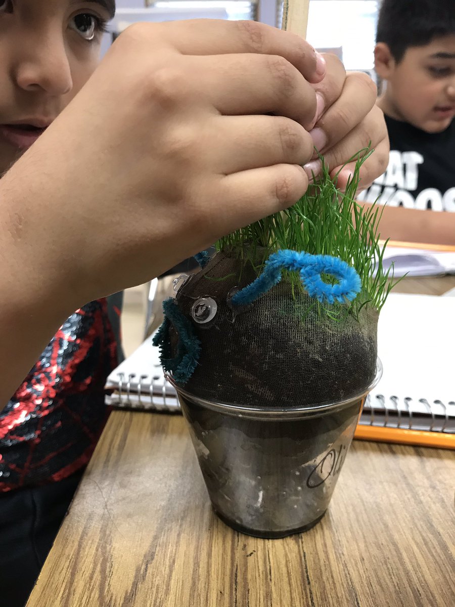 york_engineers's tweet photo. I love this time of year when shock and awe roll through the lab.. #livingthings #plantparenthood #sci3l2 #grassheads https://t.co/lrJyFVoAbD