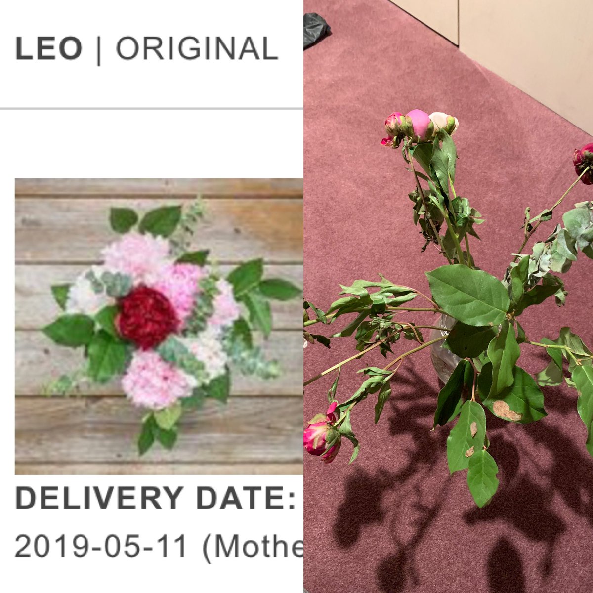 SusieFreda's tweet photo. ⁦@TheBouqsCo⁩  you should be ashamed of yourself. These are not the same thing. I’ve never seen a more pitiful display of $80 flowers. 😡 https://t.co/sHemZqJUWw