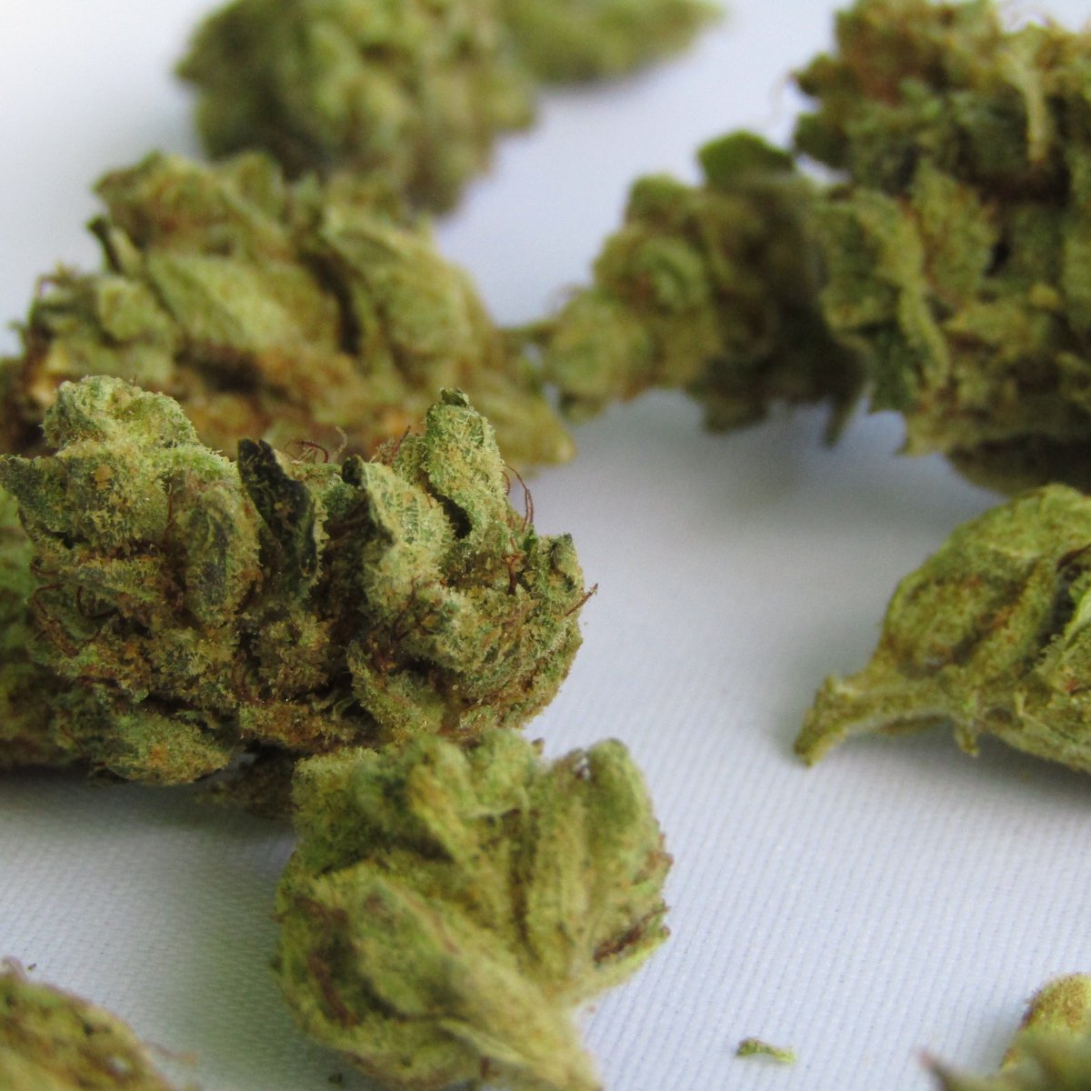 holistiko's tweet photo. ¿Fumas marihuana 🤔? Un reciente estudio reveló que esta droga es capaz de causarte infertilidad 😞, luego de varias pruebas los especialistas llegaron a esta conclusión. ¿Seguirás consumiendo esta hierba? 
#Hierba #Cigarro #Infertilidad #Salud #Estudio https://t.co/0ApSn3a4jw