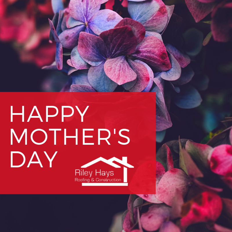 RileyHaysConst's tweet photo. Happy #MotherDay to all the wonderful mothers out there! https://t.co/LAUqFqajGM