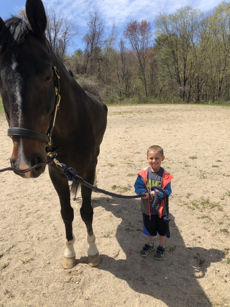 WeatherbeeJill's tweet photo. #Hunter #Bronson #Bigguy #alittleguy #Horse #Bff #helovesworkinghim https://t.co/HfYz1uNhdf