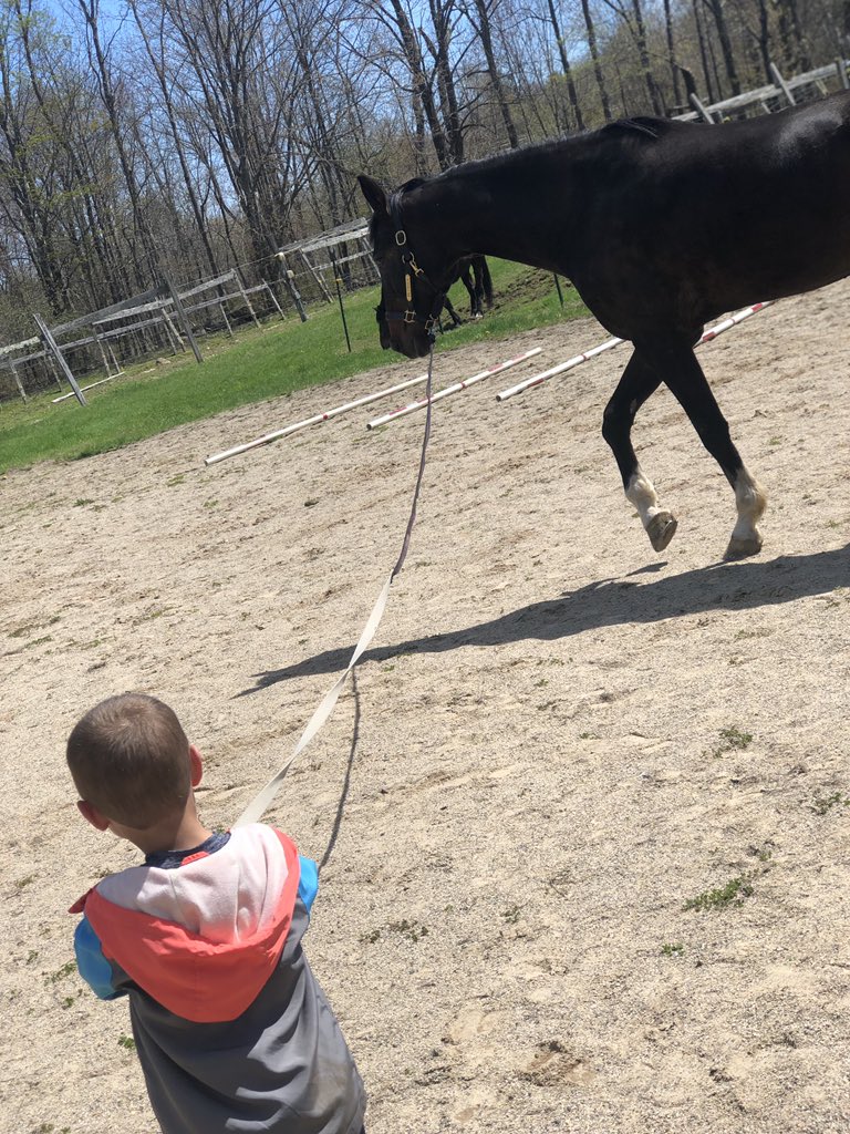 WeatherbeeJill's tweet photo. #Hunter #Bronson #Bigguy #alittleguy #Horse #Bff #helovesworkinghim https://t.co/HfYz1uNhdf