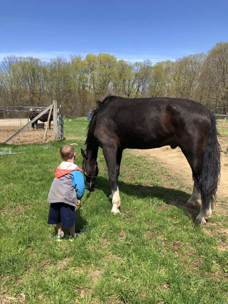 WeatherbeeJill's tweet photo. #Hunter #Bronson #Bigguy #alittleguy #Horse #Bff #helovesworkinghim https://t.co/HfYz1uNhdf