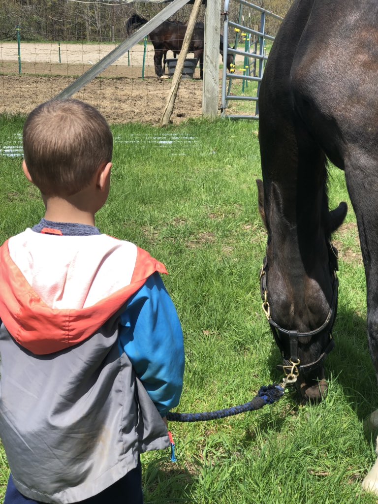 WeatherbeeJill's tweet photo. #Hunter #Bronson #Bigguy #alittleguy #Horse #Bff #helovesworkinghim https://t.co/HfYz1uNhdf