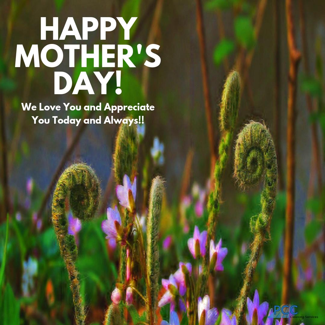 PCCGreenClean's tweet image. Happy Mother's Day!

Whether you are a stay-at-home, working, step, adoptive or grandmother, we appreciate everything you do for us!

Enjoy your special day!

#MothersDay2019 #HappyMothersDay #momsday
