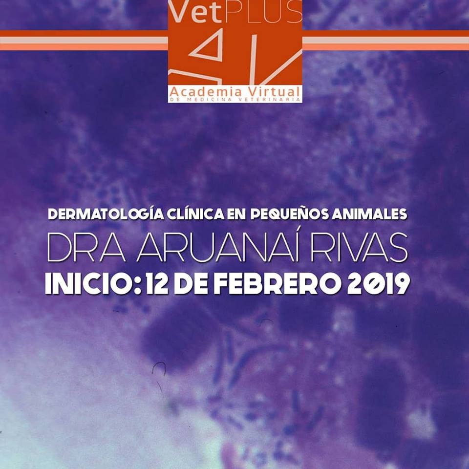 vetplusacademy's tweet photo. Inscripciones abiertas! Curso On Line "Dermatología Clínica en Pequeños Animales" #VetPlus #Veterinaria #CursosOnLine https://t.co/DhhmD7zgQa https://t.co/TqJLCLd4Tr