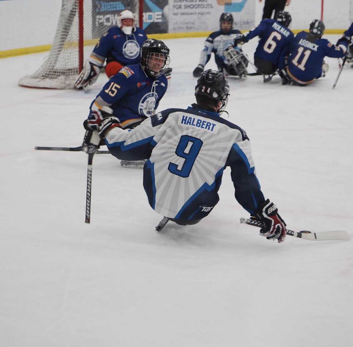 Alberta Sledge tweet media