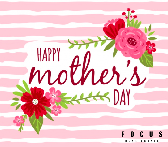 Focus Real Estate tweet media