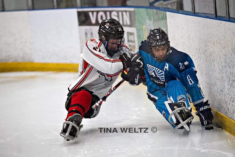 Sledge Nationals tweet media