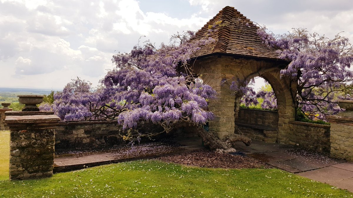 DrJoDenton's tweet photo. Now know why it's called Maths in the Sticks! Absolutely stunning setting though! @xof_uk @sxpmaths @NikkiCloudsdale @DrBennison @JessBurdass #mathsticks https://t.co/ZNu5NVTIGx