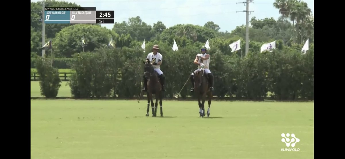 melissaganzi's tweet photo. On this #MothersDay2019 & #SundayFunday I’m watching #livepolo @ChukkerTV #springchallengecup @GrandChampions_ https://t.co/R8EQ7lRk18