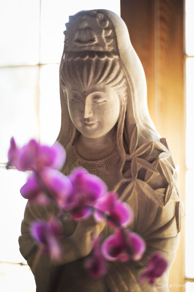 upayazen's tweet photo. "All human beings come from a mother’s womb. We are all the same part of one human family. We should have a clear realization of the oneness of all humanity."
—His Holiness the Dalai Lama https://t.co/D8o10ISI0f