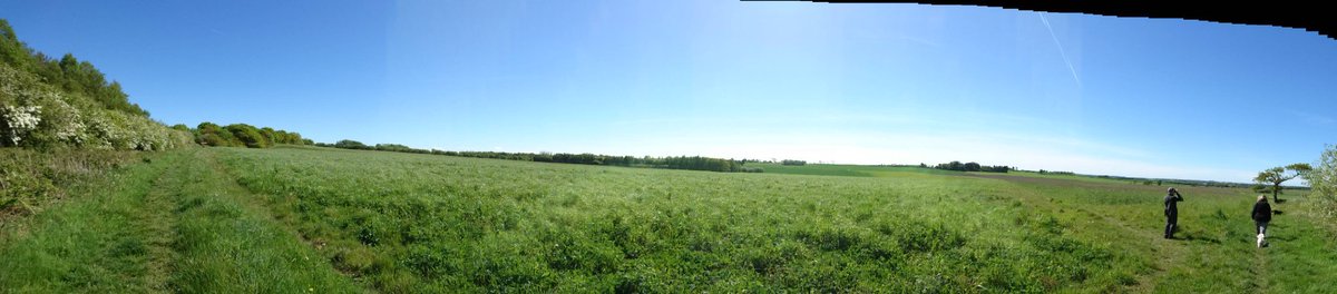 nayler's tweet photo. Reliving my childhood with a walk near the Devil's Wall. Plenty of swifts in the air. https://t.co/epeItGWEiz