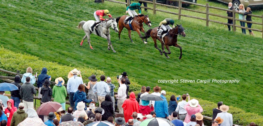 Steven Cargill tweet media