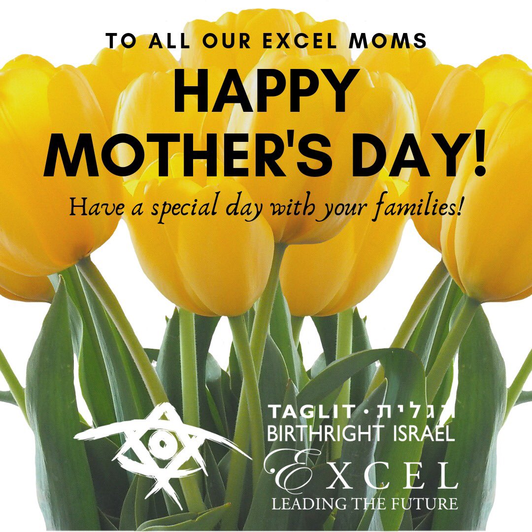 Happy #MothersDay to all of our Excel Moms, Grandmas, Aunts and Mentors. On behalf of our community, we love you and thank you for raising our incredible Excel Fellows! 🌸 #BRIEXCEL #ExcelFam