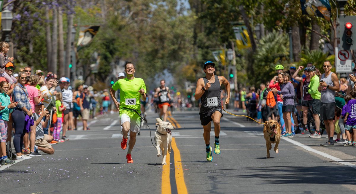 Bring Back the Mile tweet media