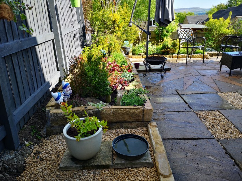 DiSharp2's tweet image. #SunnySunday #garden