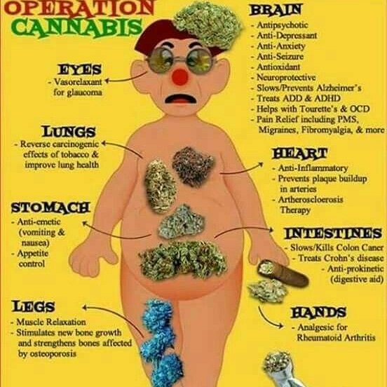 THCish's tweet image. This diagram is awesome 😎#THCish

#Marijuana/#Cannabis/#Hemp

#LED #HSP #MH #HID #CFL #Edibles #Marihuana #Ganja #Pot #Weed #Kush #CBD #CBDoil #MedicalMarijuana #MedicalCannabis #LegalizeIt #MMJ #Colorado #Alaska #Nevada #Florida #Maine #Oregon #Michigan #California #Washington