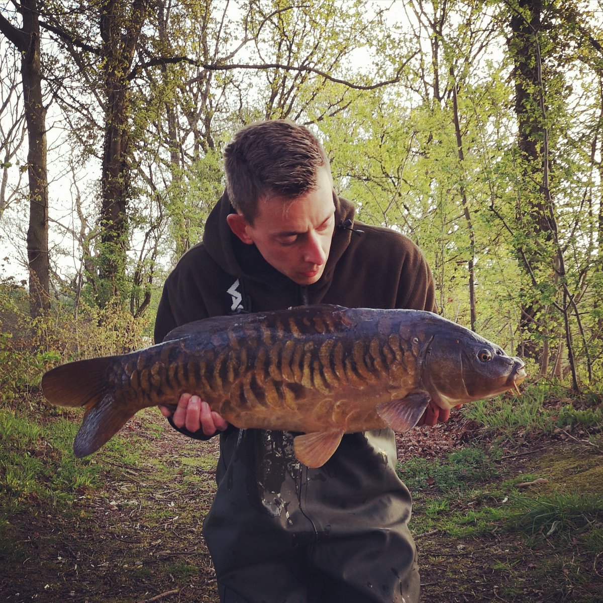 luke_rallison's tweet photo. Scaley banger from a few weeks back 👀💥🏴󠁧󠁢󠁥󠁮󠁧󠁿 @StickyOfficial @ThinkingAnglers @Vasswaders @espcarpgear @SubsurfaceJ https://t.co/qhk5zABspT