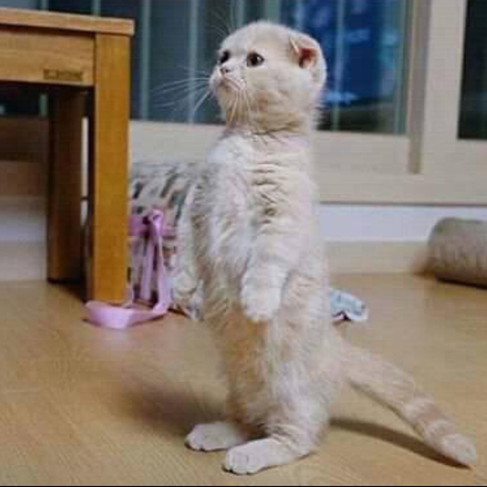 HumorTablet's tweet image. When you are praying Salah but forget which rakah you were on