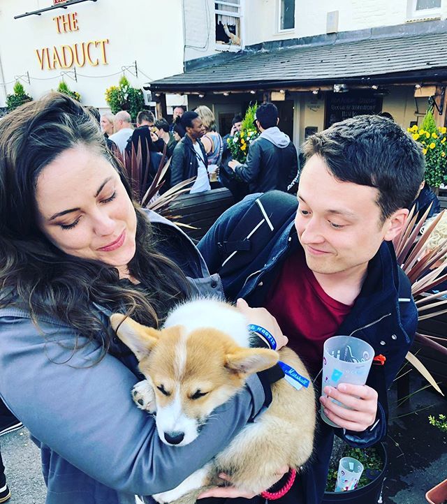 SharonStrom's tweet photo. Proud pawrents #corgilove #notatallstaged https://t.co/razfF2F1qM https://t.co/tPYUZnIdwc
