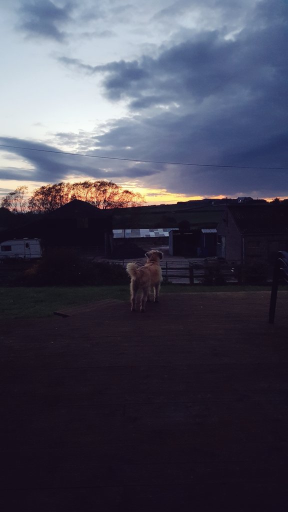 Watching the #sunset with the #dog before I go back to work tomorrow #monday 😕😔 #smile #look #picoftheday.#bestoftheday #doglove #colorful #amazing   
#photo #capturethebeauty
#hdr #Samsung