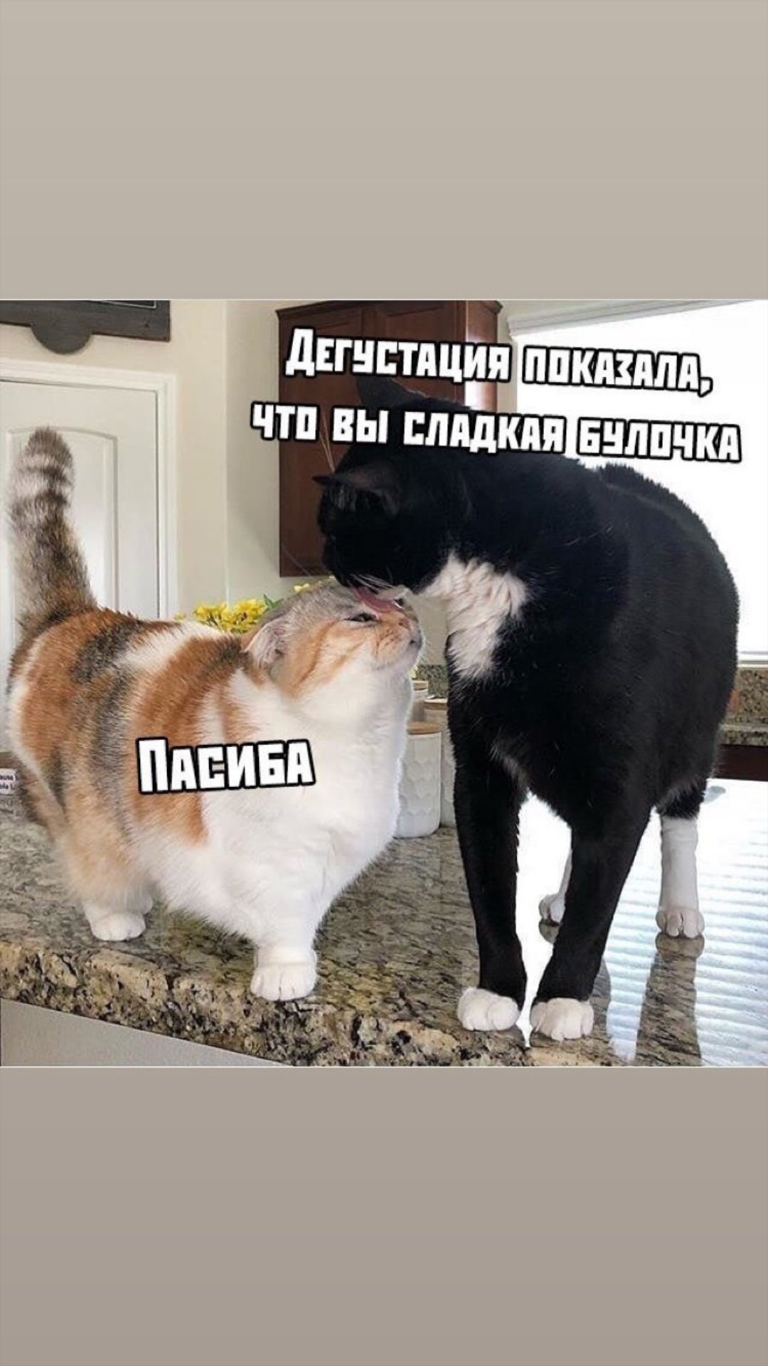 Булочка прикол