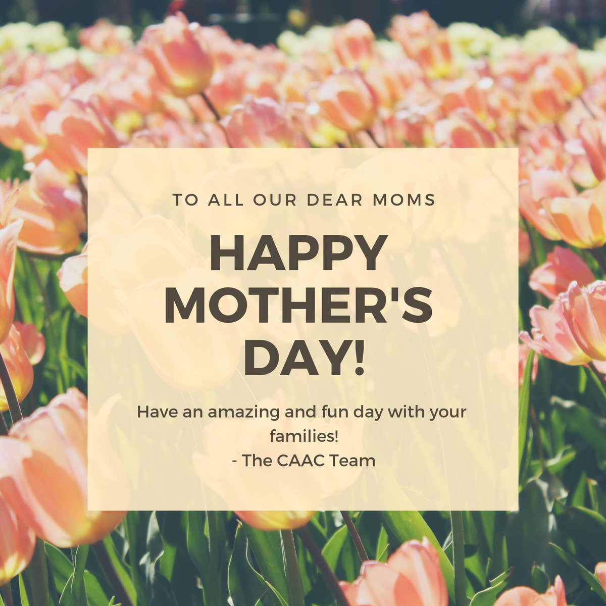 ChaseAfterACure's tweet photo. Sending a very happy Mother’s Day to all of the moms out there. 💕🌷🍃#MothersDay https://t.co/0Q40fbSYUY