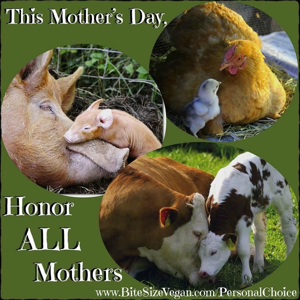 ItStarts_With1's tweet photo. #BeTheChange #ItStartsWith1 #MothersDay https://t.co/e6DUWnQnHG