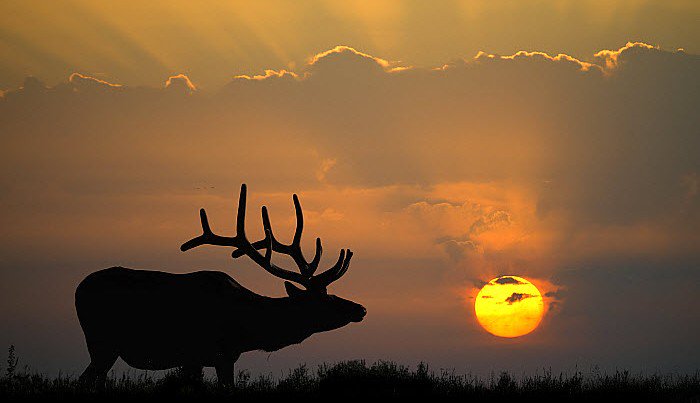 @lana79803474 <a href="/saqibf/">Saqib Feroz  🇵🇰🇵🇰🇵🇰</a> Very good evening Lana...👌
Have a beautiful time...👍😊😂🤣