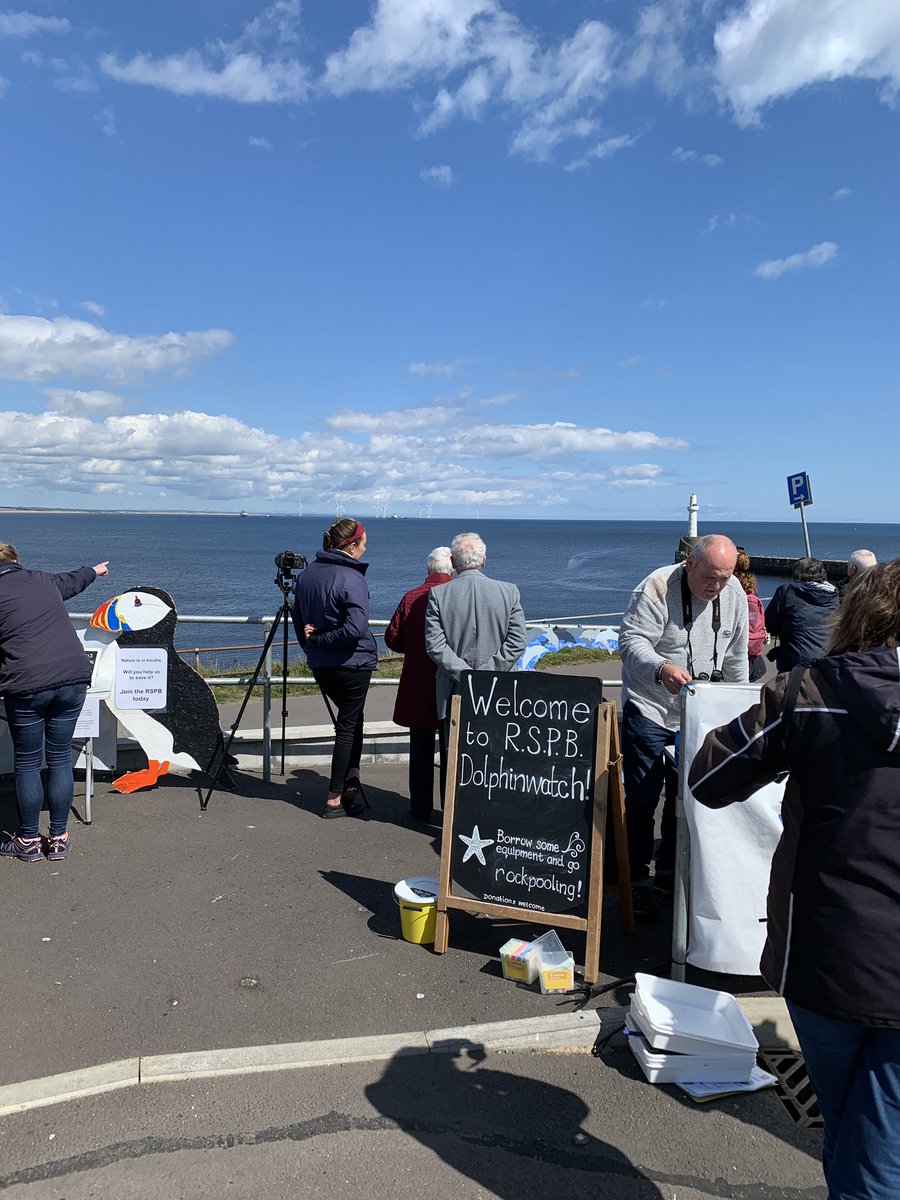 Dolphin spotting with @RSPB_NEScotland #RSPBScotlandDolphinwatch @visitabdn 🐬 great #rspb staff on hand with lots of useful info and help with the spotting! @RSPBScotland #dolphins