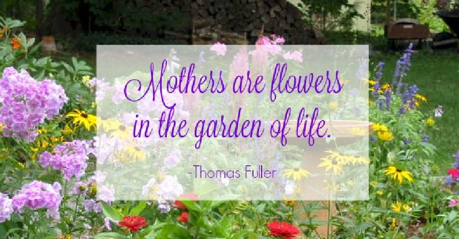 SproutForBiz's tweet photo. Honoring and remembering the special women who have brought so much light and love into our lives. #mothersday #moms https://t.co/CAa4lNW60M